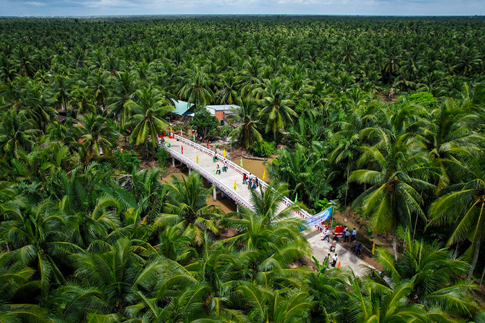 Coconut trees and local life in Ben Tre province
