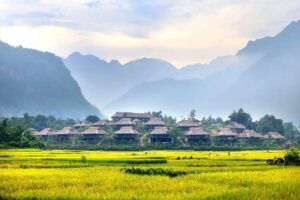 Mai Chau valley with rice fields and stilt houses