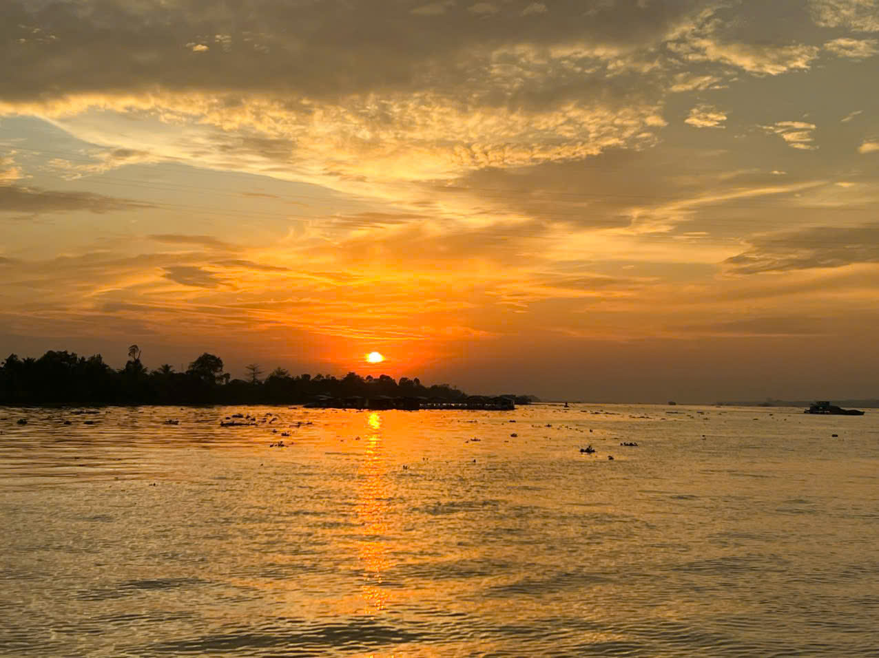 AUTHENTIC MEKONG DELTA – FULL DAY TRIP