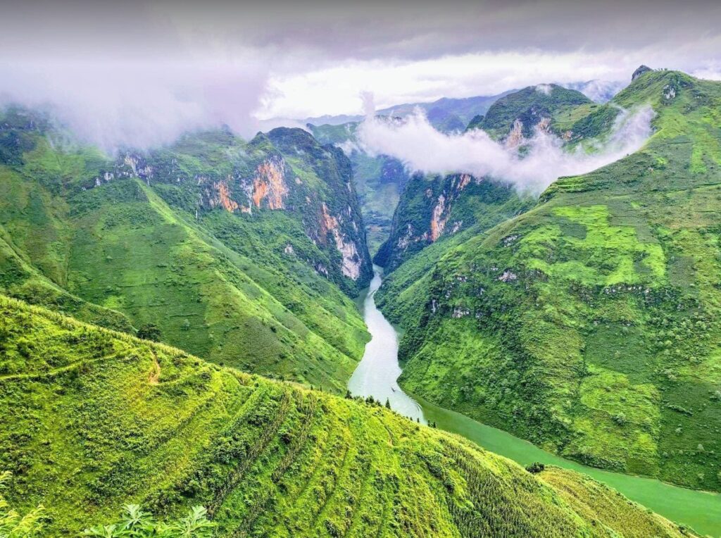 Tu San Canyon in Ha Giang viewed from Ma Pi Leng Pass with lush green mountains and a winding river.