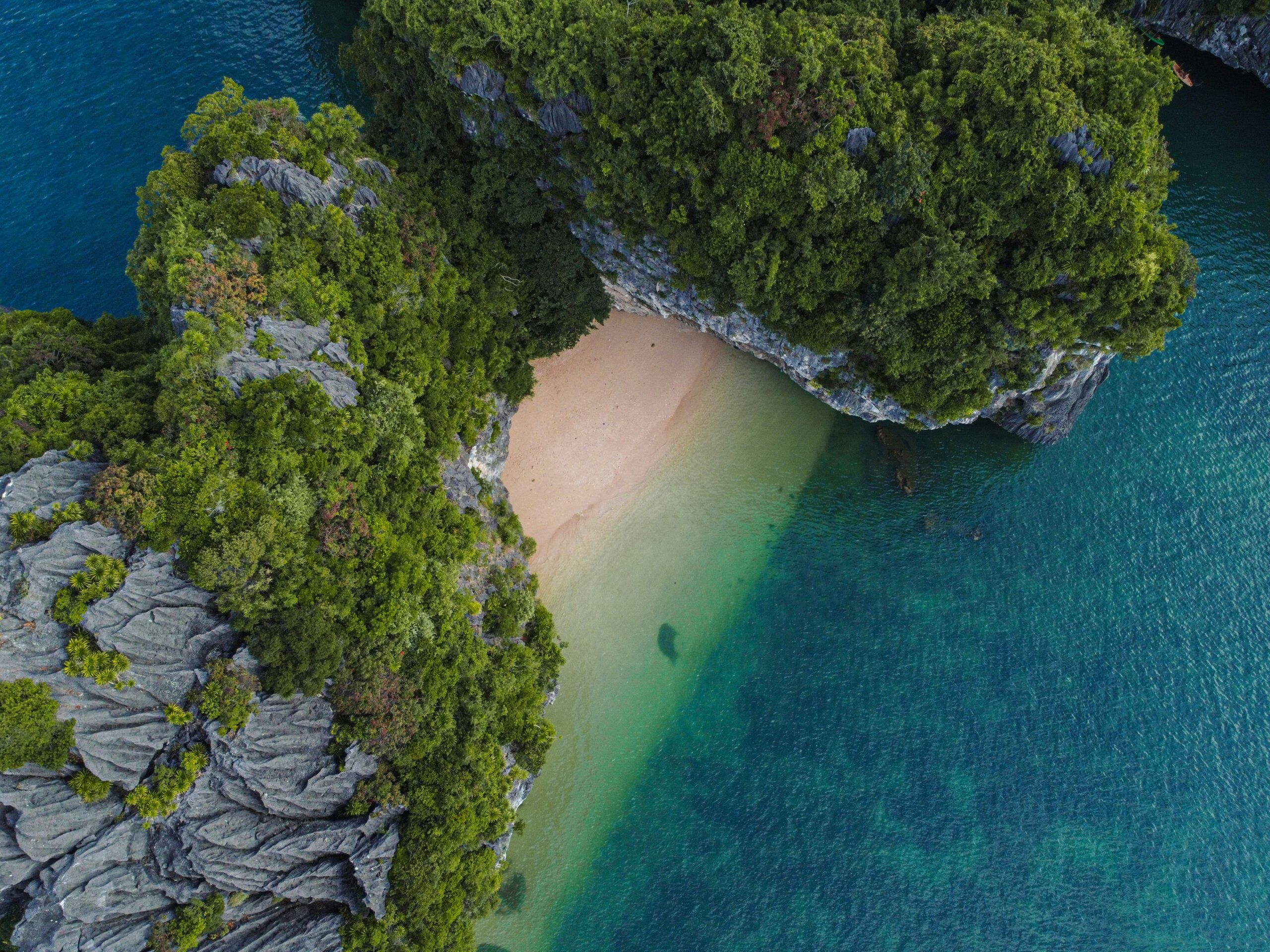 Day Cruise in Ha Long Bay – A Complete Guide to the Best One-Day Experience