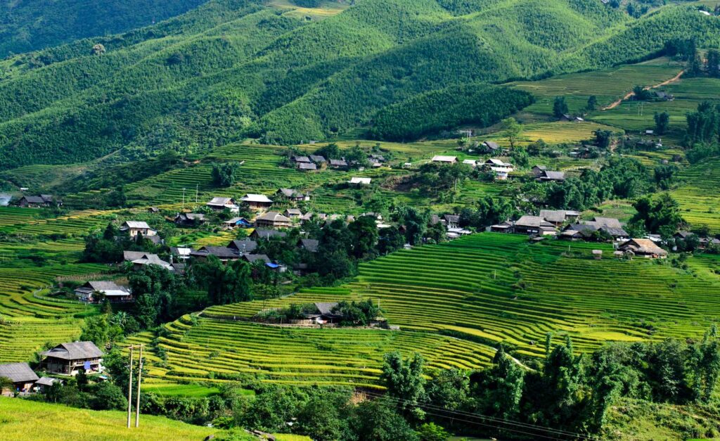 Lao Chai Village with terraced rice fields in Sapa