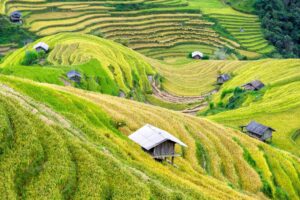 Green valley and traditional stilt houses in Mai Chau, Vietnam.