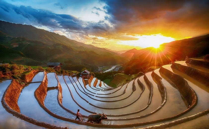 Mu Cang Chai terraced rice fields shimmering during the water season.