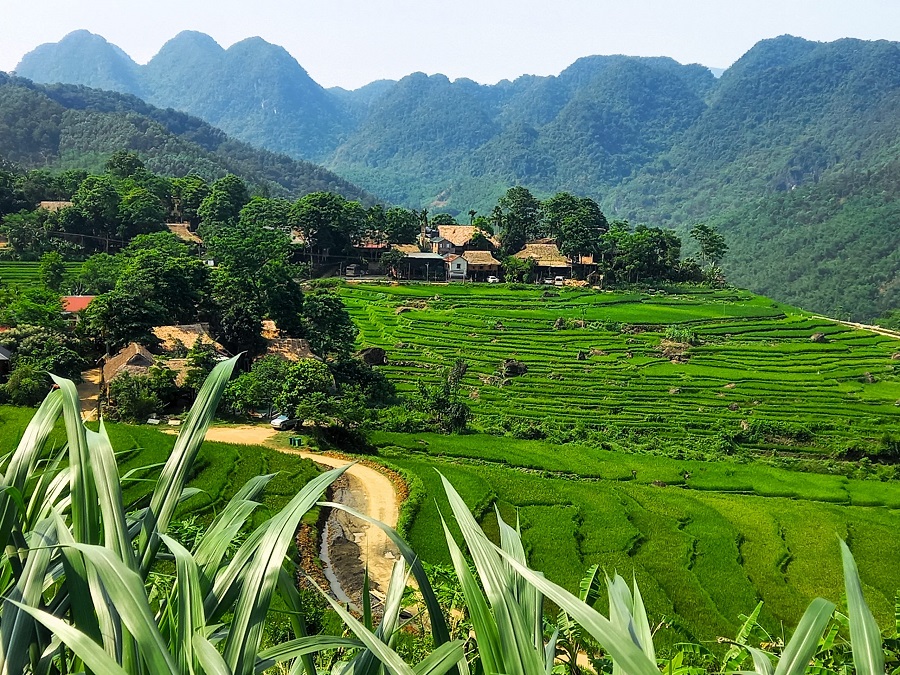 Pu Luong Nature Reserve with terraced fields, wooden houses, and green valleys.