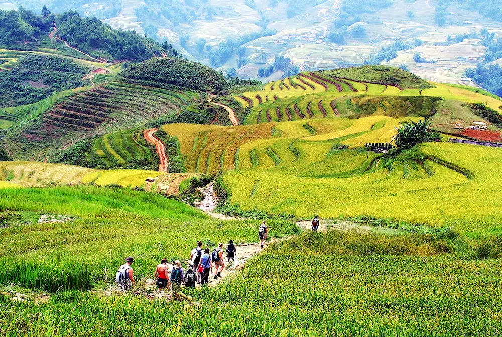 Trekking route to Ta Van Village with terraced fields in Sapa
