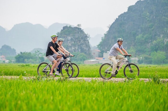 Travelers cycling through Vietnam’s rice fields on a classic holiday experience