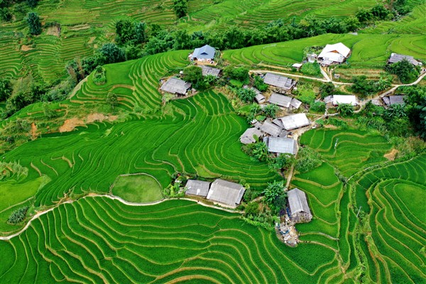 Independent traveler exploring Vietnam’s rice terrace mountains on a nature-focused adventure