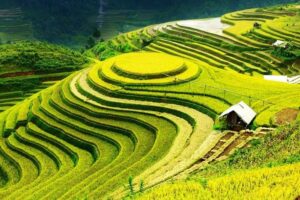 Northern Vietnam landscape with mountains, rice terraces and limestone scenery