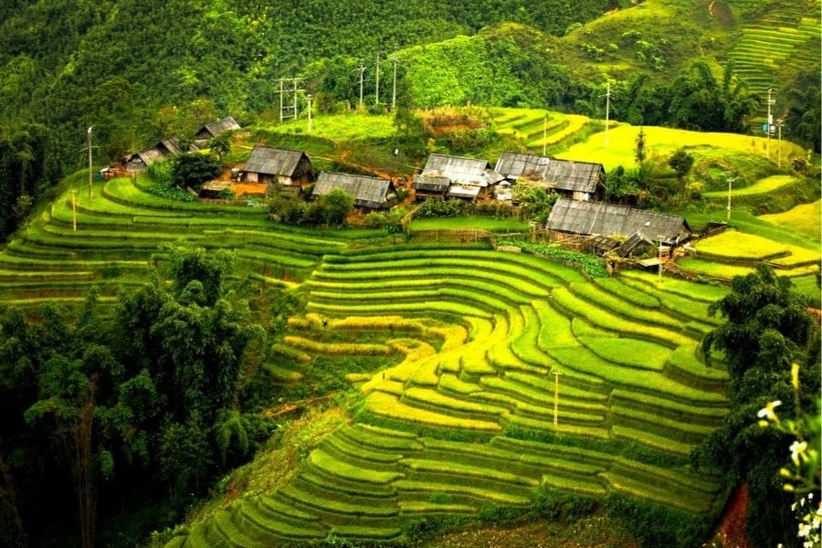 Sapa rice terraces and ethnic minority village in northern Vietnam