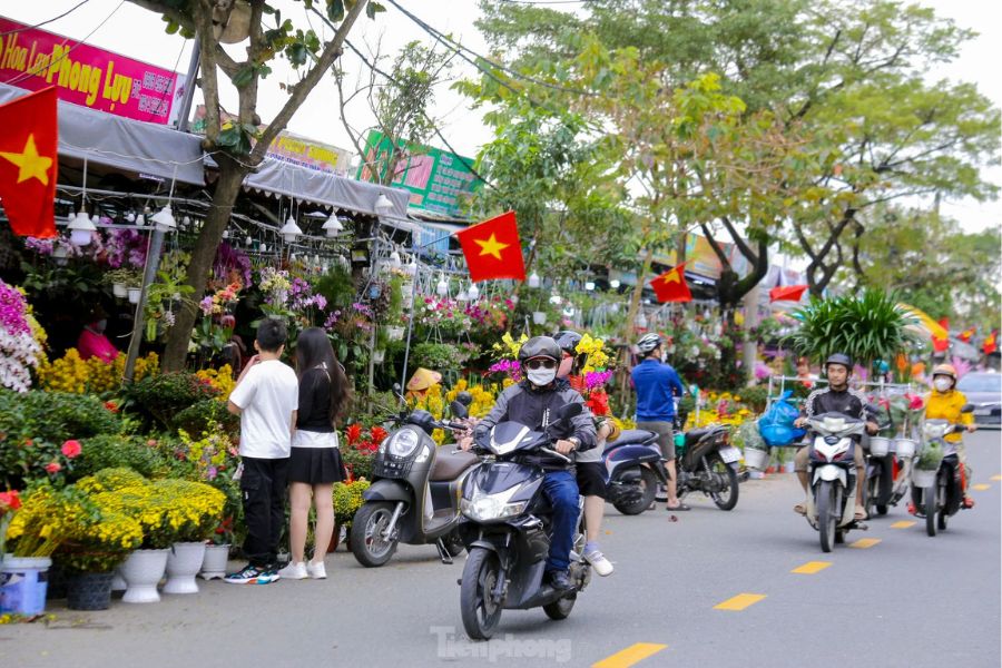 Tet flower market in Vietnam with peach blossoms and apricot flowers