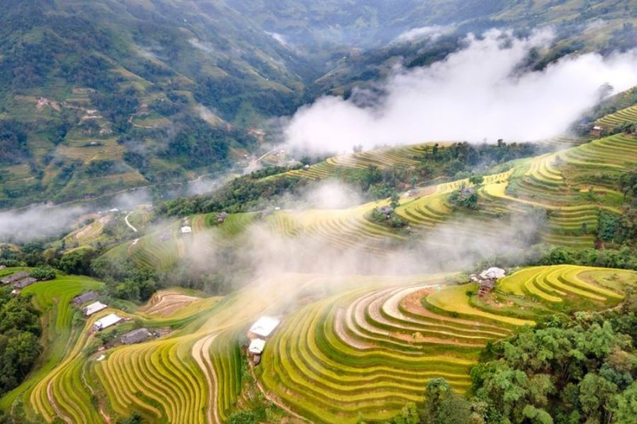 Vietnam tour packages covering mountains, cities and coastline