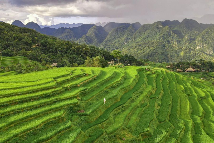 hidden gems vietnam rice terraces pu luong nature reserve