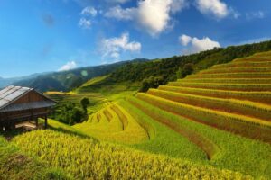 most beautiful places in vietnam sapa rice terraces landscape