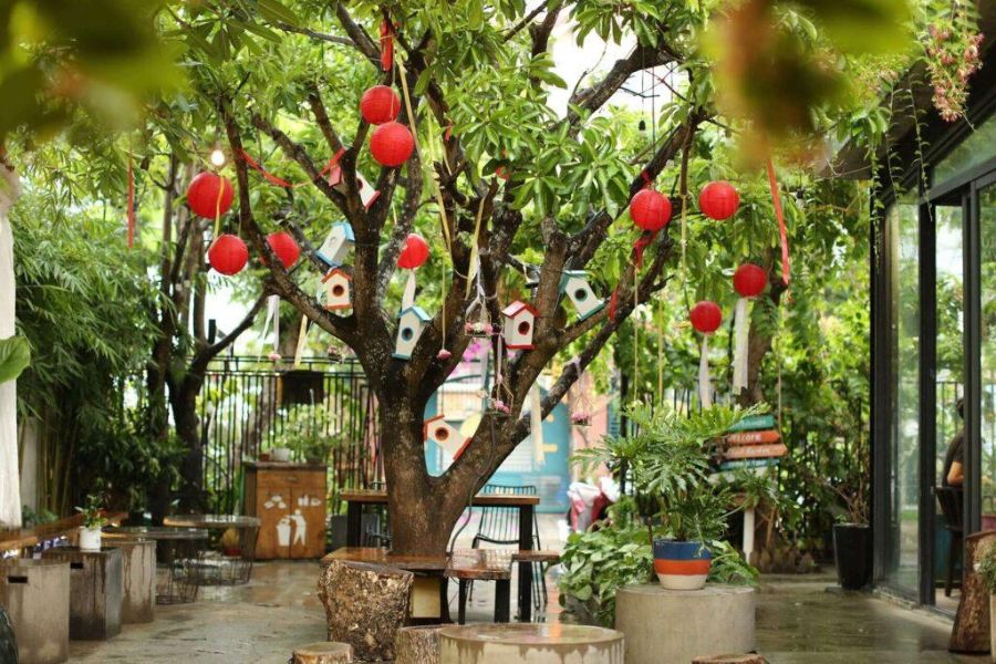 lgbt cafes vietnam hoi an da nang