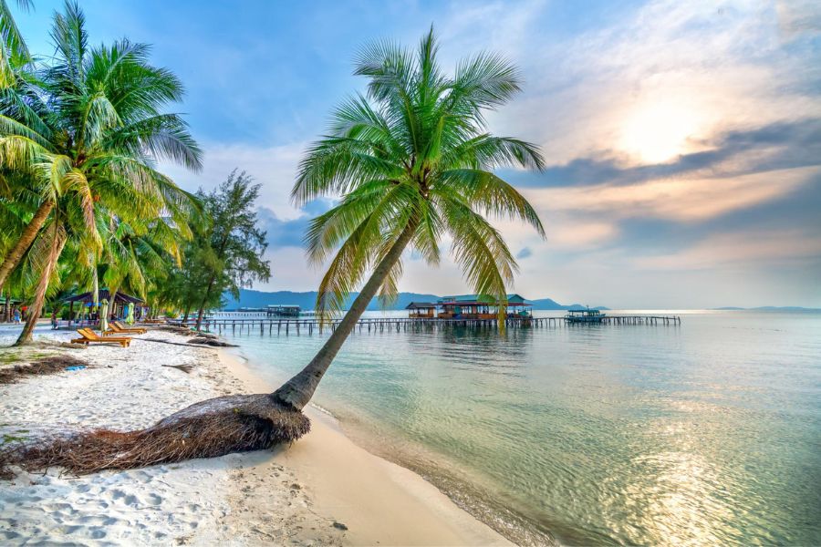 Phu Quoc beach at sunset with palm trees
