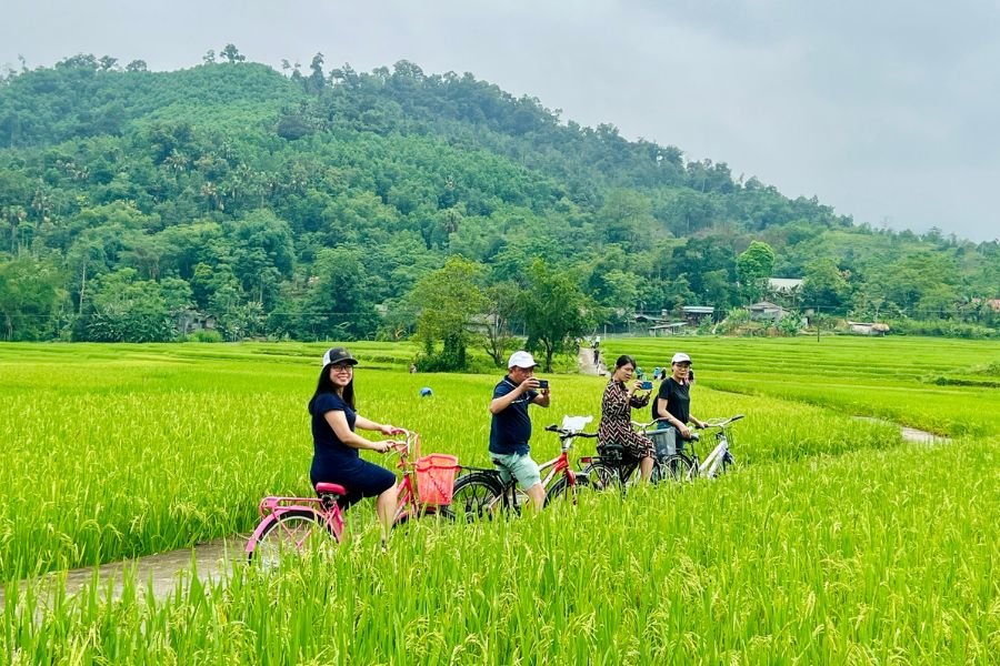 Travelers cycling through the peaceful countryside in Vietnam