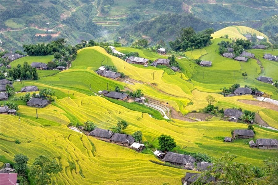 Ha Giang rice terraces during autumn