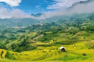 Vietnam rainy season travel guide with lush green landscapes