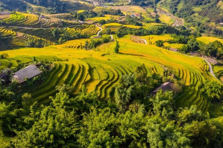 Hoang Lien National Park with mountain landscapes in Northern Vietnam