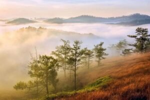 Scenic photography spot in Da Lat, Vietnam