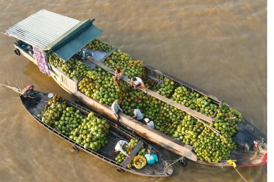 Boats carrying fresh produce at Long Xuyen Floating Market in An Giang