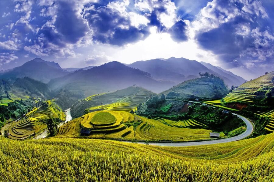 Mu Cang Chai golden rice terraces in September