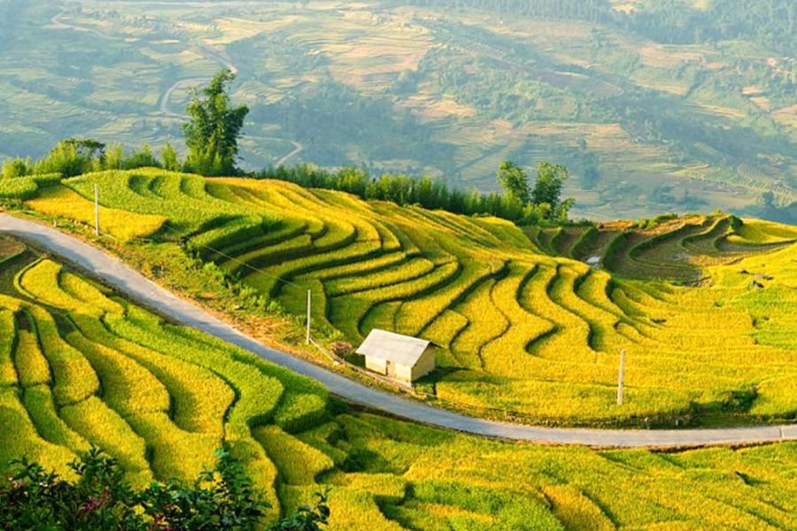 Pu Luong Travel Guide with rice terraces and mountain villages