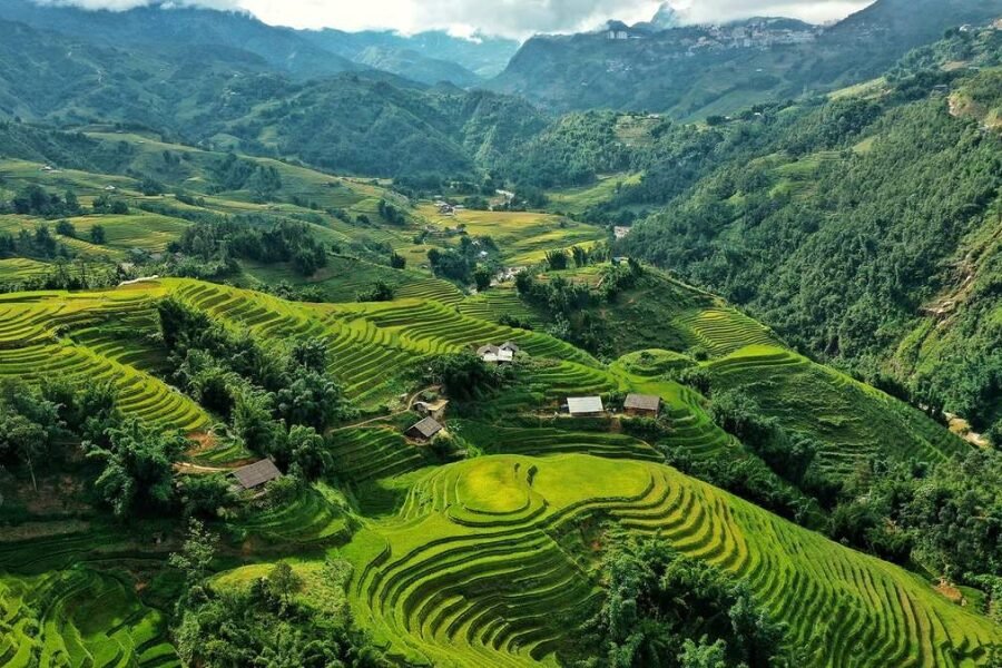 Sapa rice terraces during Vietnam in September