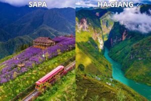 Sapa vs Ha Giang in Northern Vietnam