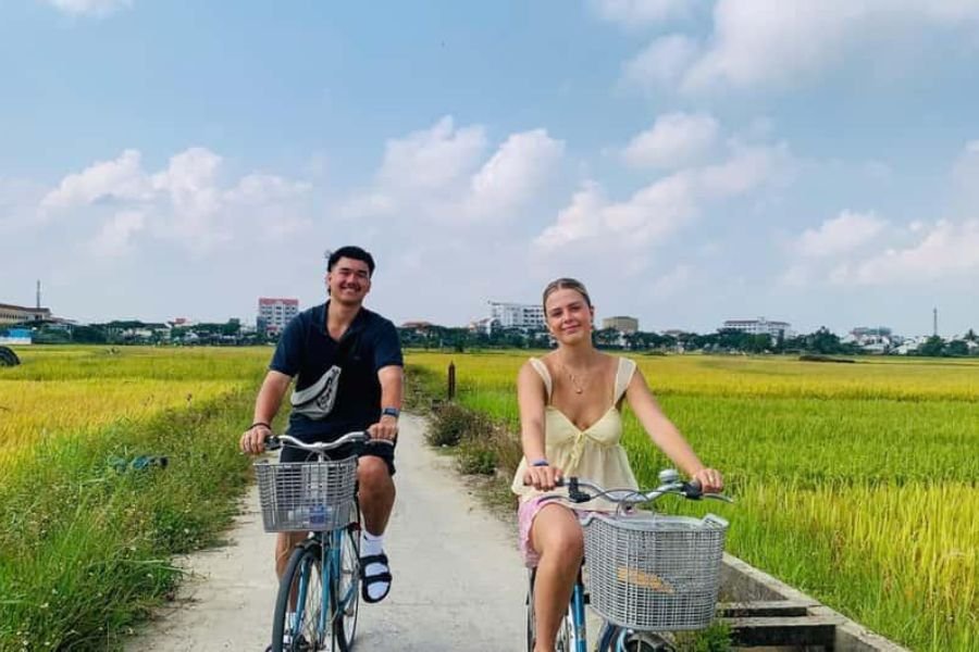 Travelers cycling through scenic rice fields in Hoi An countryside