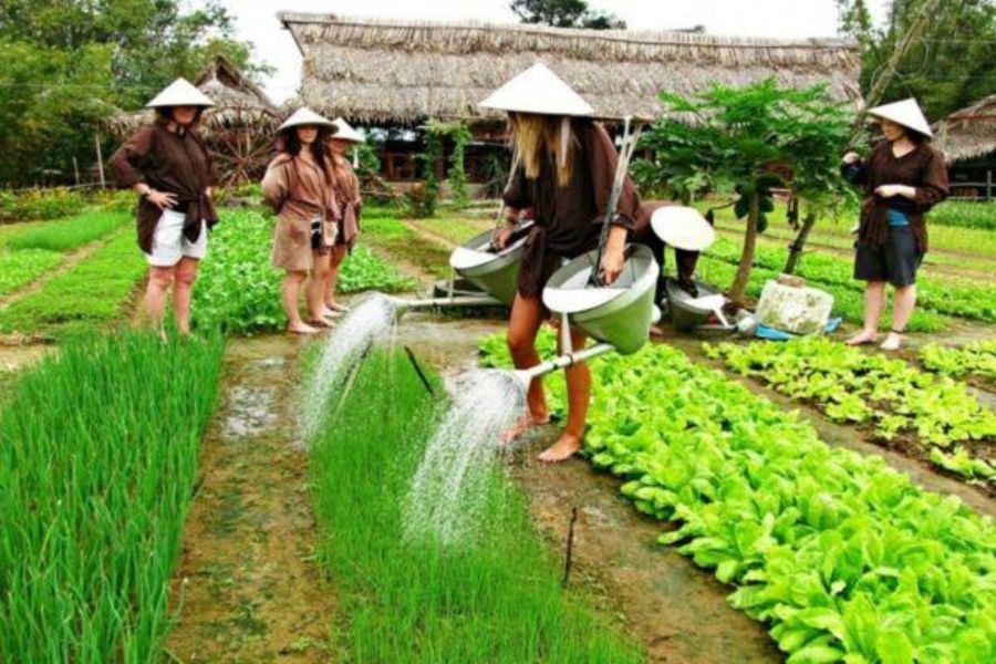 Visitors experiencing traditional vegetable farming in Tra Que Village near Hoi An