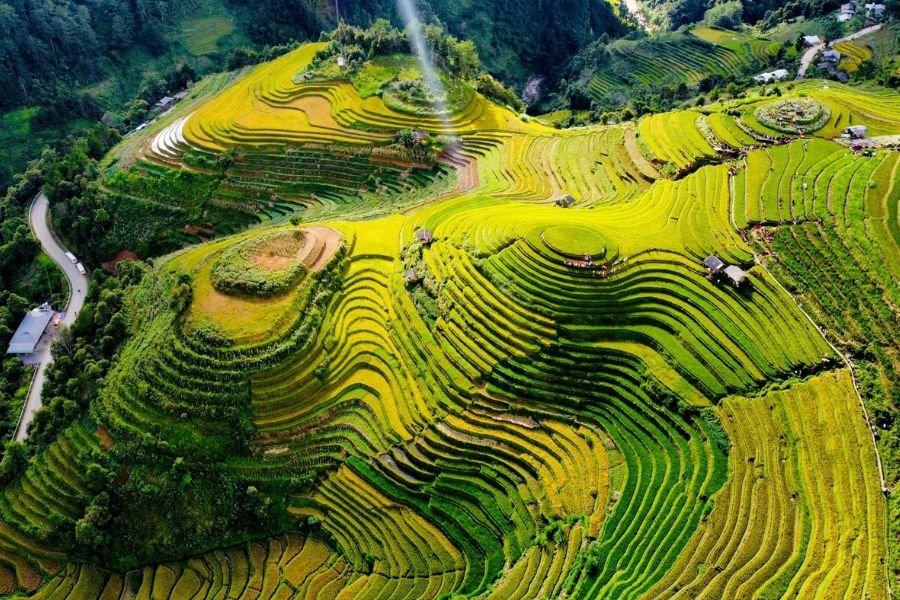 Vietnam Autumn Travel in Mu Cang Chai during golden rice season