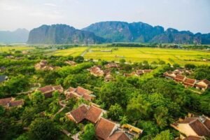 Vietnam countryside experiences featuring peaceful rice fields and rural landscapes