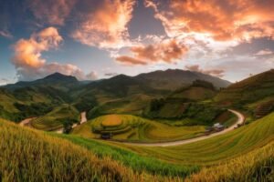 Vietnam in October with golden rice terraces